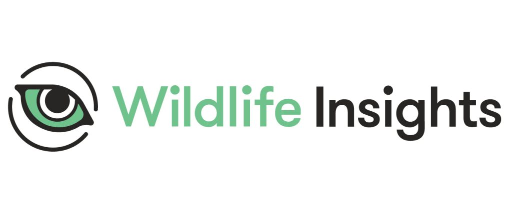 Wildlife Insights